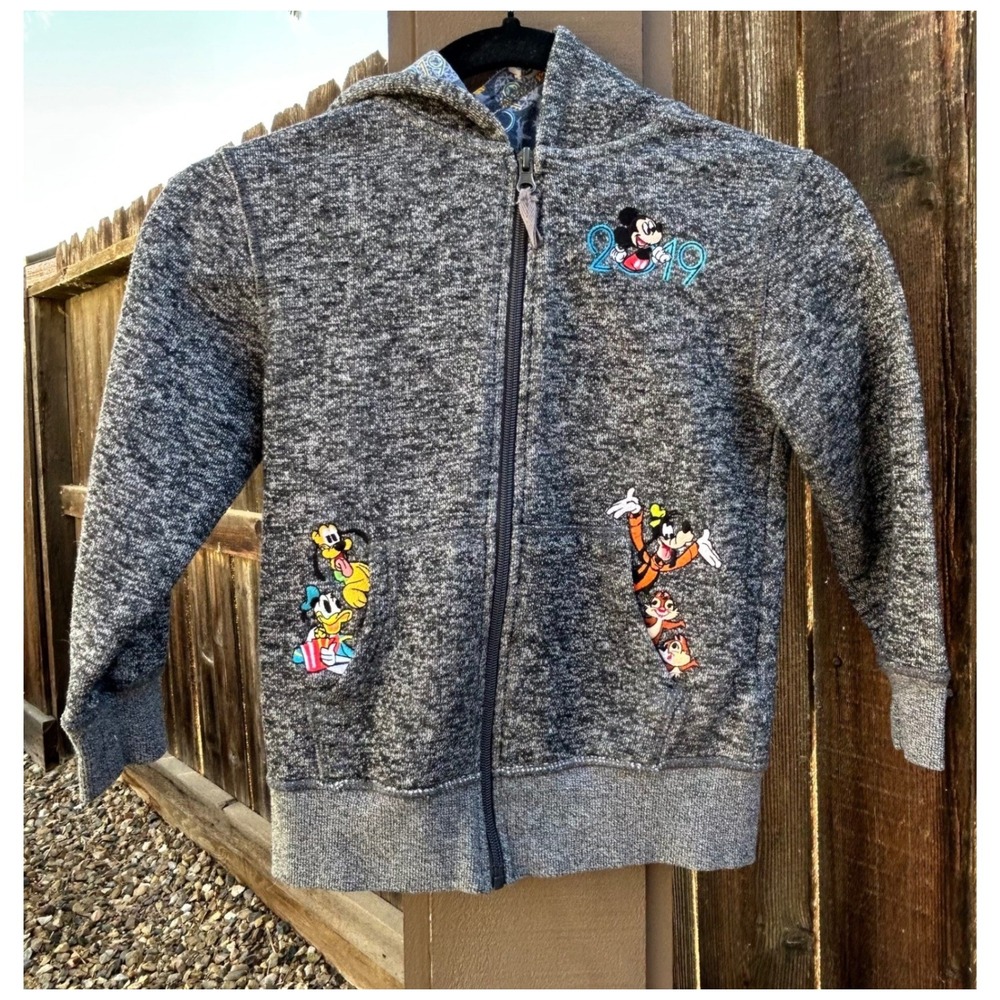 Disney Parks Walt Disney World 2019 Mickey Friends Kids Small Zip Hoodie Gray